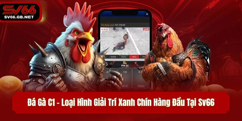 Đá Gà C1 – Loại Hình Giải Trí Xanh Chín Hàng Đầu Tại Sv66