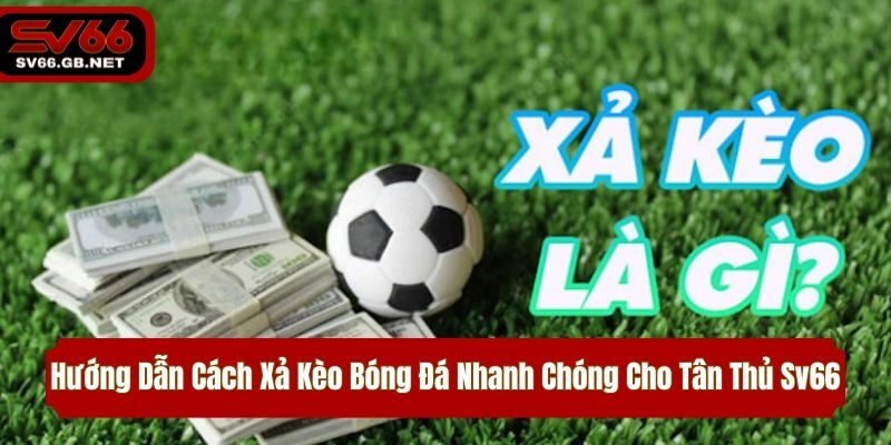 Hướng Dẫn Cách Xả Kèo Bóng Đá Nhanh Chóng Cho Tân Thủ Sv66