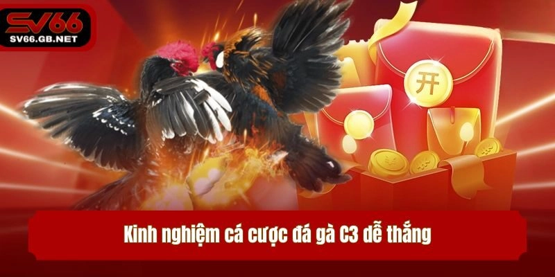 Kinh nghiệm cá cược đá gà C3 dễ thắng