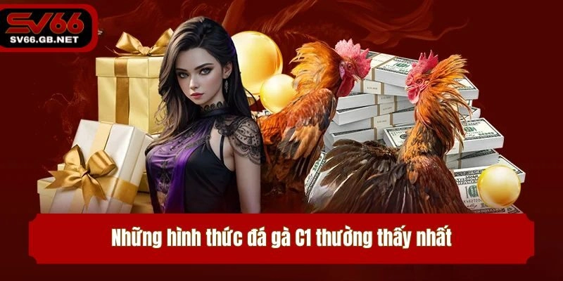 Những hình thức đá gà C1 thường thấy nhất